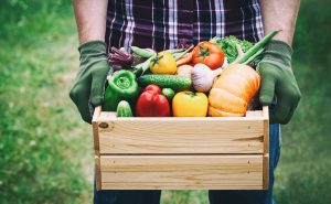 Un homme tenant une boîte en bois pleine de légumes.