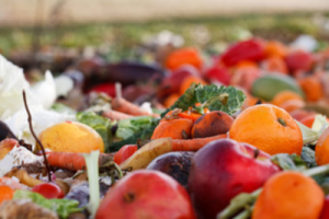 Fruits et légumes : pour une alimentation durable vitaminée