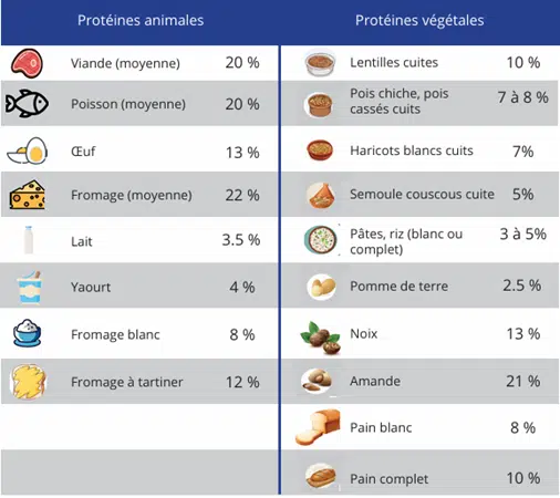 Teneur en protéines des principaux groupes d’aliments