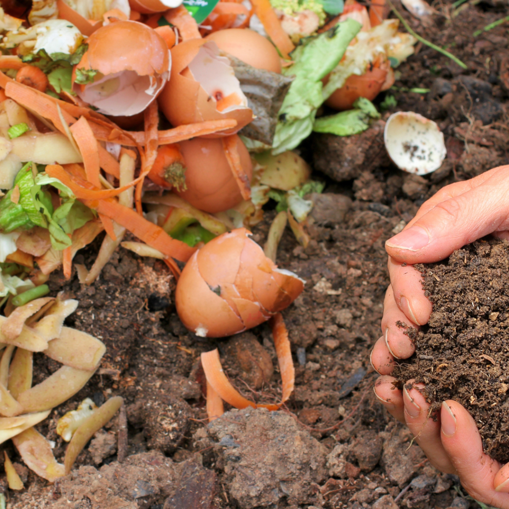 Déchets alimentaires